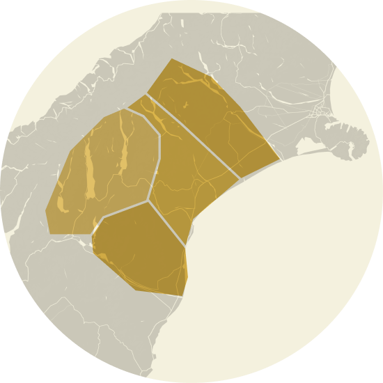 region-img